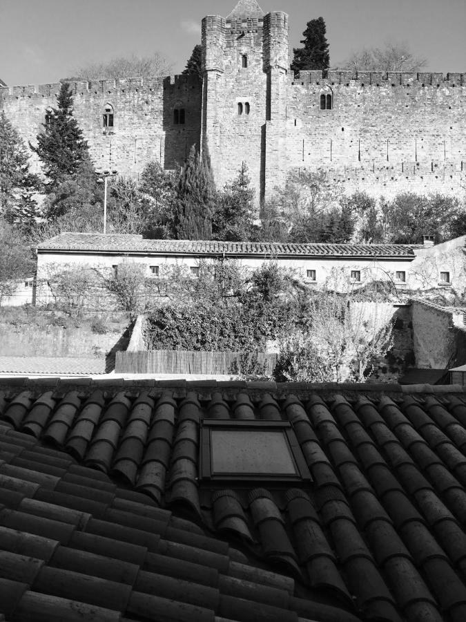 Au Puits De La Cite Сasa de vacaciones Carcasona